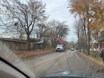 Новости » Общество: На Льва Толстого в Керчи пилили деревья