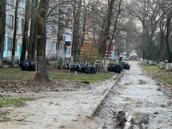 Новости » Общество: Несмотря на дождь в Керчи продолжили работу с листвой