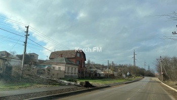 Новости » Общество: В Керчи на ул.Комарова упало дерево