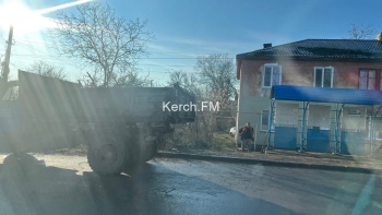 Новости » Общество: Вдоль дороги в Керчи пилили ветки деревьев