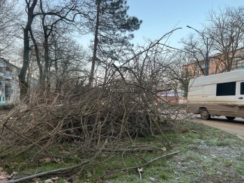 Новости » Общество: Керчане не могут нормально выехать со дворов из-за свалки веток на обочинах