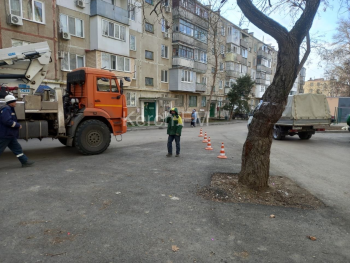 Новости » Общество: Во дворах на Горького пилят аварийные тополя