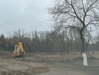 Новости » Общество: Лесополосу на «Телецентре» теперь видно с дороги