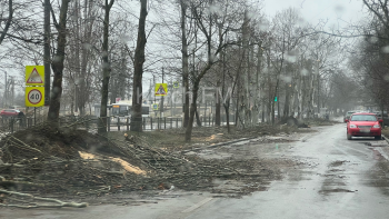 Новости » Общество: На дублёре Генерала Петрова спиленные ветки бросили прямо на дороге