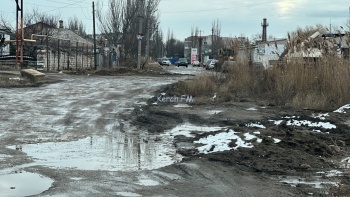 Новости » Общество: «Живём, как свиньи, по уши в грязи!», - керчане об ул.Полевой