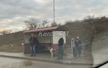 Новости » Общество: Это остановка? Керчане жалуются на павильон в районе Семи Ветров