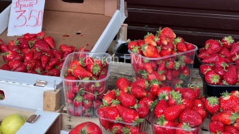Обзор цен на овощи и фрукты на рынке около СРЗ на 1 мая