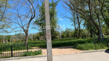 Парк им. Гагарина в Керчи зарос травой