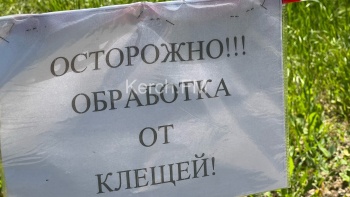 Была или будет? В Комсомольском парке висят объявления об обработке от клещей
