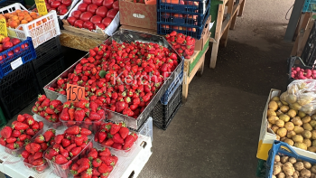 Обзор цен на овощи и фрукты на рынке около СРЗ на 23 мая