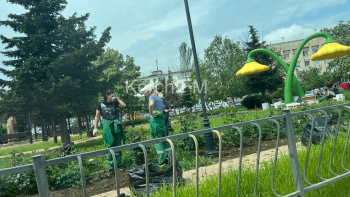 Газоны и клумбы напротив Кирова, 5 приводят в порядок