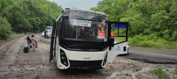 В Крыму дерево упало на рейсовый автобус из-за размытия грунта