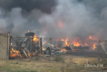 Новости » Общество: В Крыму за пять лет значительно сократилось количество пожаров