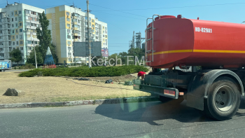 Новости » Общество: Издевательство над растениями устроили коммунальщики Керчи