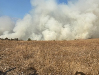 МЧС Крыма за два дня 20 раз выезжали на природные пожары