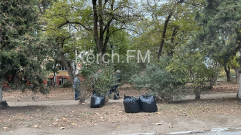 Новости » Общество: В Керчи прошел День чистоты