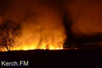 За неделю в Крыму произошло более 100 пожаров