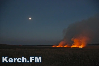 В Ленинском районе Крыма выгорело 1,5 тысячи квадратных метров сухостоя
