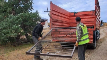 В курортных городах Крыма демонтируют заборы и шлагбаумы