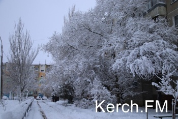 В Крыму не ожидается суровой зимы