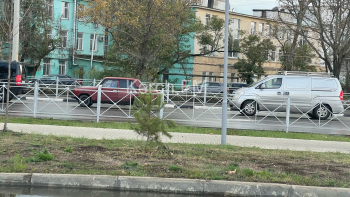 В Керчи около стадиона высадили новые деревья
