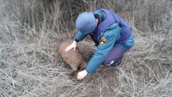 В Керчи завтра будут уничтожать взрывоопасный предмет времён ВОВ