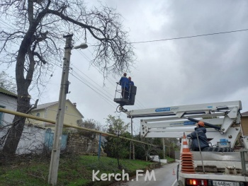 Крымэнерго перед сильным керченским штормом спилил аварийные деревья и опасные ветки