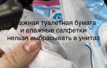 Если керчане не хотят утонуть в новогодних фекалиях, нужно перестать выбрасывать что попало