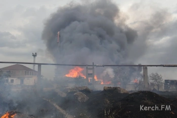 За первые два дня 2024 года в Крыму произошло 14 пожаров