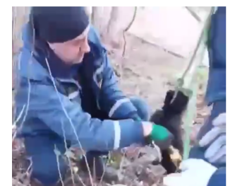 В Крыму спасатели достали щенка, провалившегося в бетонную трубу