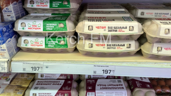 Рост цен на куриные яйца связан с ростом доходов населения, - Путин