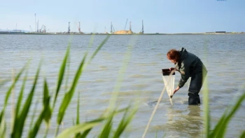 В Крыму будут готовить специалистов в области водных биоресурсов и аквакультуры