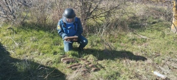 В Ленинском районе обезвредили 17 боеприпасов времен ВОВ