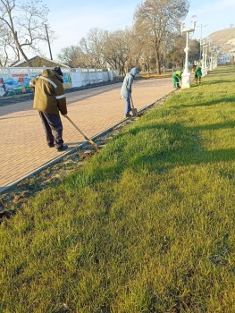 Зеленхоз Керчи окапывает кусты роз, убирают поросль и мусор