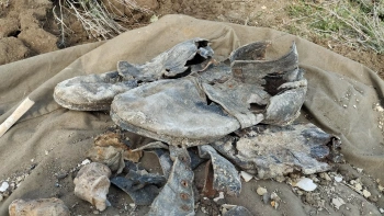 Под Керчью ботинки на берегу "привели" поисковиков к останкам бойца