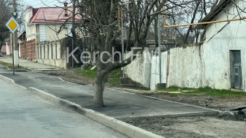 На Чкалова на тротуаре деревья закатали в асфальт