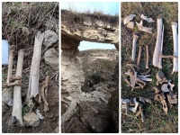 На востоке Крыма в скале нашли останки неизвестного бойца