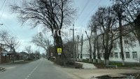 Администрация Керчи обещает заасфальтировать тротуары на Фурманова до 1 июня