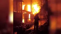 В сгоревшем "Тропик-парке" в Крыму погибли более 150 животных и птиц