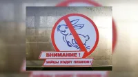 В Крыму ужесточили штрафы за безбилетный проезд