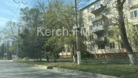Газоны вдоль дорог в Керчи приводят в порядок