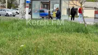 Глава Керчи не видит в городе травы по пояс