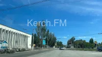 В Керчи пытаются бороться с тополями