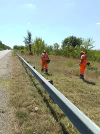 Новости » Общество: Не смотря на изнуряющую жару, дорожники "Автодора" косят траву