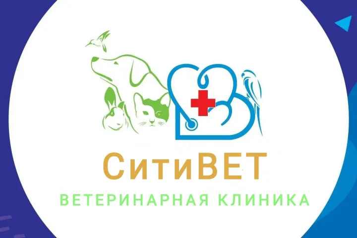 Предприятия » Ветлечебницы: Ветеринарная клиника "СитиВЕТ"