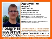 Новости » Криминал и ЧП: В Керчи разыскивают пропавшего подростка Удовиченко Андрея