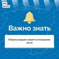 Новости » Общество: В Крыму продлили запрет на посещение лесов