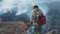 В Ленинском районе Крыма из-за крупного возгорания сухостоя чуть не сгорели жилые дома